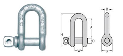 ����Ŵ�鿴