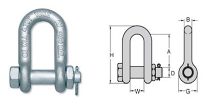 ����Ŵ�鿴