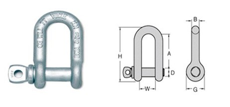 ����Ŵ�鿴