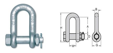 ����Ŵ�鿴