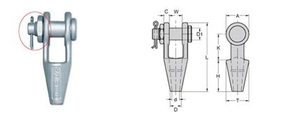 ����Ŵ�鿴