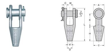 ����Ŵ�鿴