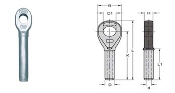 ����Ŵ�鿴