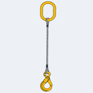 ����Ŵ�鿴