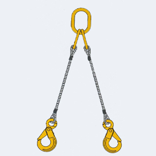 ����Ŵ�鿴